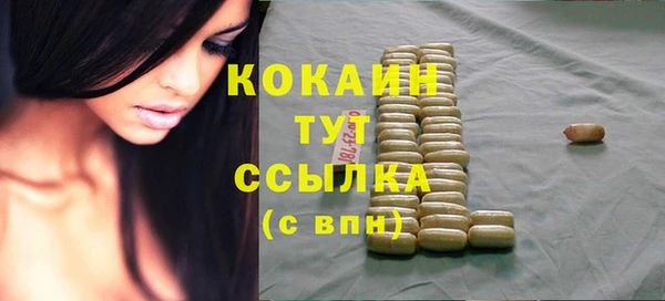 гашик Алзамай